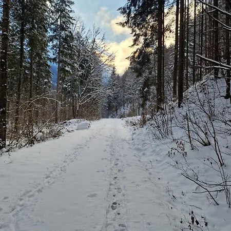 Appartementhaus Huettenberger Lägenhet *