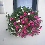 Appartementhaus Huettenberger דירה *